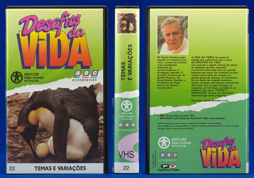 Desafios da Vida 22