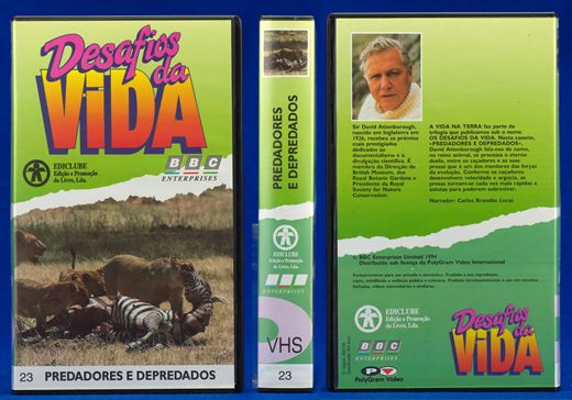 Desafios da Vida 23