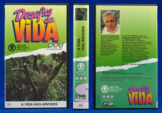Desafios da Vida 24