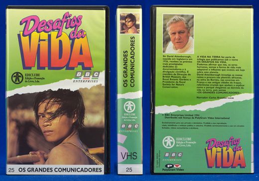 Desafios da Vida 25