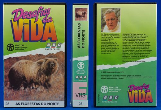 Desafios da Vida 28