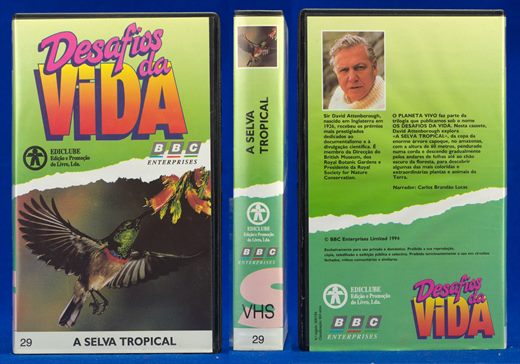 Desafios da Vida 29
