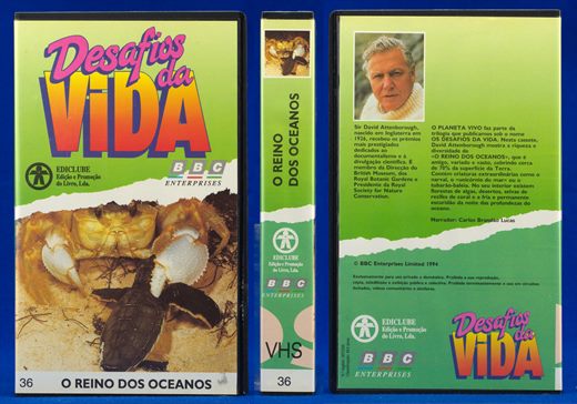 Desafios da Vida 36