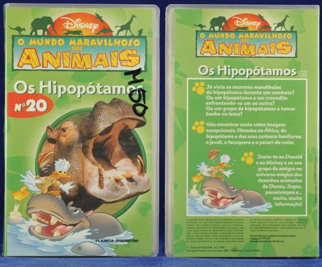 O Mundo Maravilhoso dos Animais No20 - Os Hipopotamos