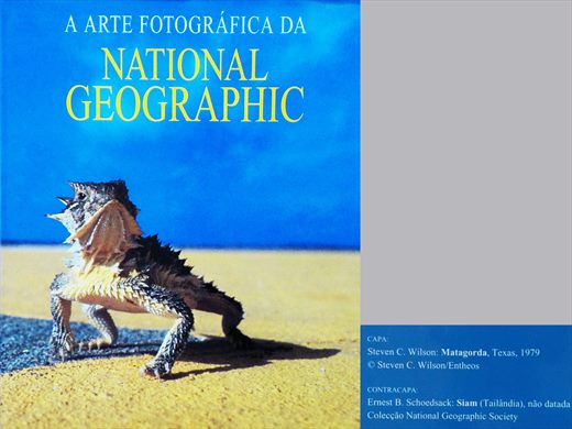 A Arte Fotografica da National Geographic