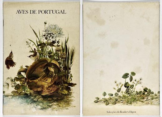 Aves de Portugal - Seleccoes do Reader's Digest