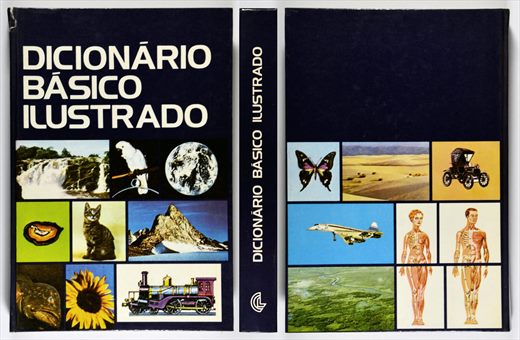 Dicionario basico ilustrado