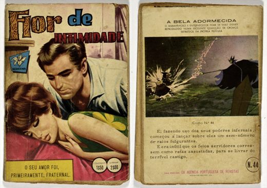 Flor de intimidade No. 44