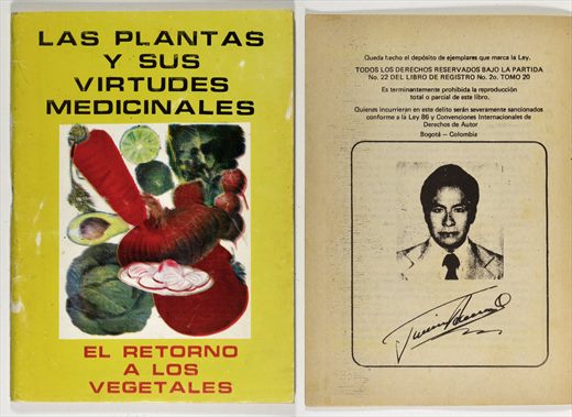 Las plantas y sus virtudes medicinales