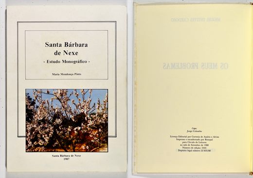 Santa Barbara de Nexe -Estudo Monogrrafico- 1987