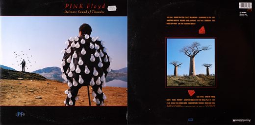 Pink Floyd - Delicate Sound of Thunder - 1988