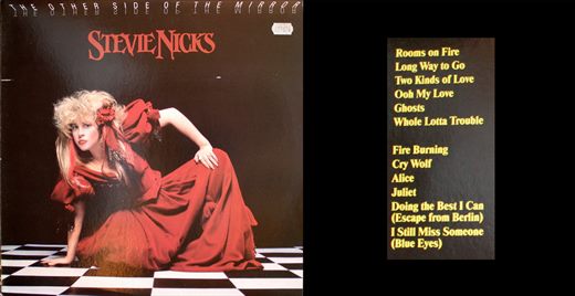 Stevie Nicks - The Other Side of the Mirror - 1989