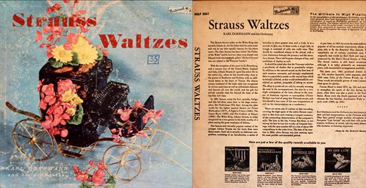 Straus waltzes (Karl Dorfmann and his Orchestra)