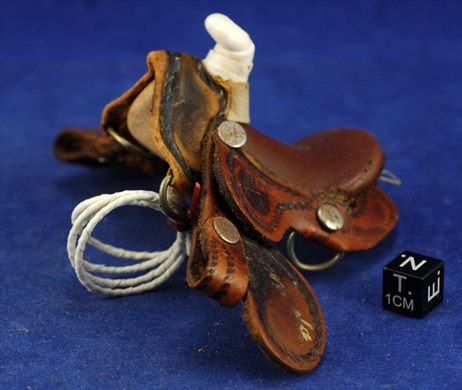 Sela miniatura (Venezuela)