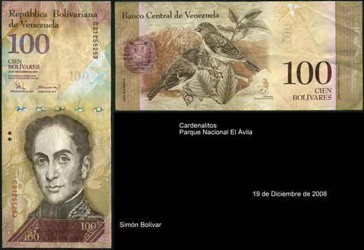 Venezuela - Bolivar 100 - 2008-12-19
