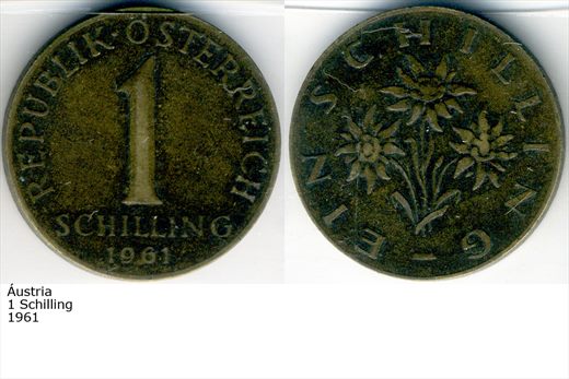 Austria - Schilling 1 - 1961 - G6 A3 H05 L2C6