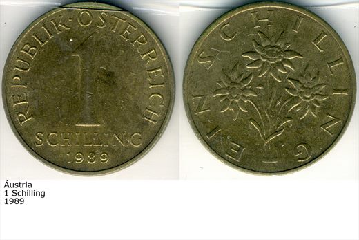 Austria - Schilling 1 - 1989 - G6 A3 H05 L4C3