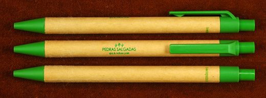 Pedras Salgadas