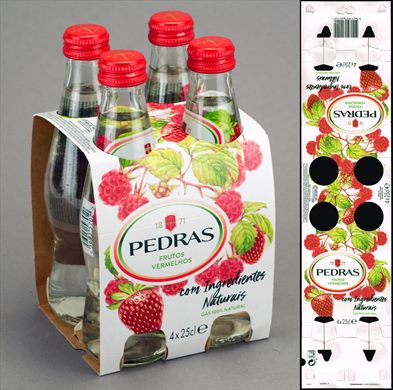 Pedras Salgadas Pack vidro Frutos Vermelhos 4x25cl 2026-03