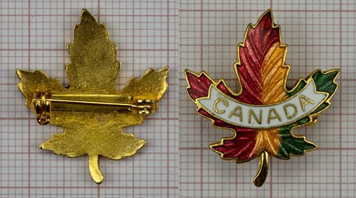 Canada leaf