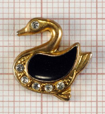 Cisne (2)