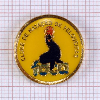 Foca Clube de Natacao de Felgueiras