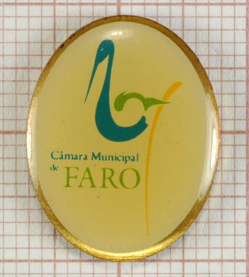 Camara Municipal de Faro (1)