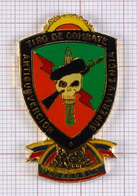 Tiro de Combate