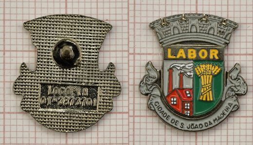 Labor Cicdade de S. Joao da Madeira (Logopin 013873701)