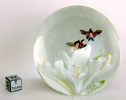 Esfera de vidro com motivo flores-insectos