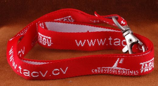 tacv.cv
