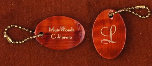 EUA California Muir Woods - L