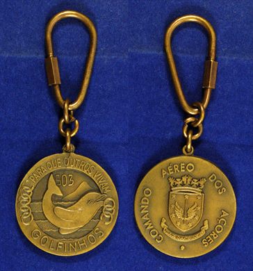 Comando Aereo dos Acores - Golfinhos