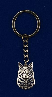 Gato (Maine Coon)