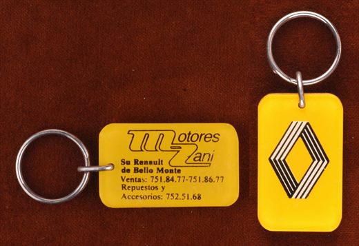 Motores Zani - Renault