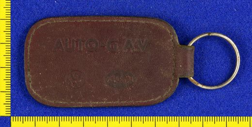 Auto-Gav