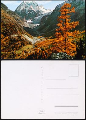 Paisagem - C.yZ. - 7159-31-C