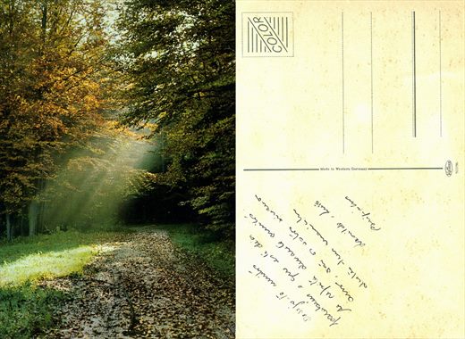 Paisagem - Kruger 900-96