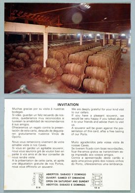 Real Vinicola (3)