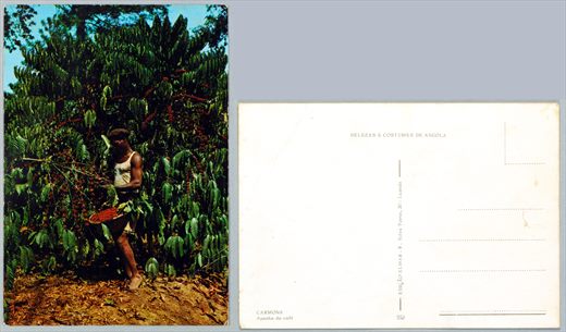 Belezas e Costumes de Angola 553
