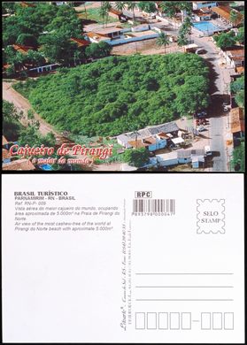 Brasil Parnamirim RN-P-009