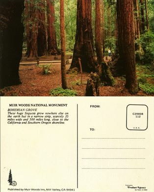 EUA California Muir Woods National Monument