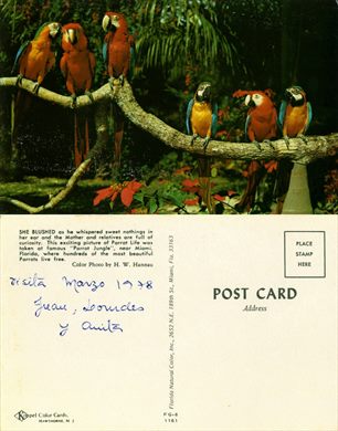 EUA Florida Parrot Jungle