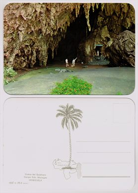 Venezuela, Edo. Monagas, Caripe, Cueva del Guacharo 84.25.3 265 357 (Intana)