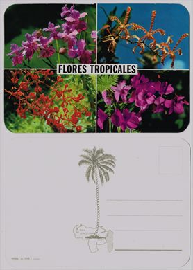 Venezuela, Flores tropicales 84.015.1 254880 (Intana)