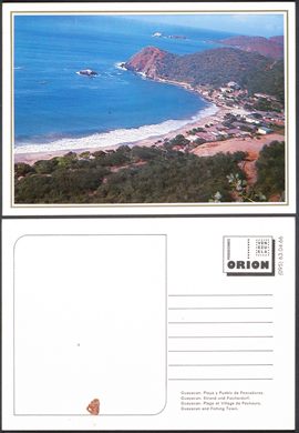 Venezuela Isla de Margarita Guayacan