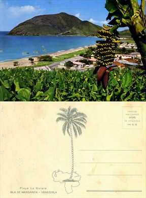 Venezuela Isla de Margarita Playa La Galera - 1500-5-6