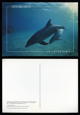 United Arab Emirates - For a better World - Dolfins