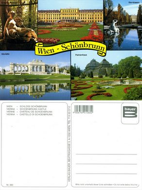 Austria Viena - Bauer - 560