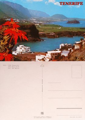 Espanha Icod (Tenerife) Isla Baja desde Cra. San Marcos - 3101